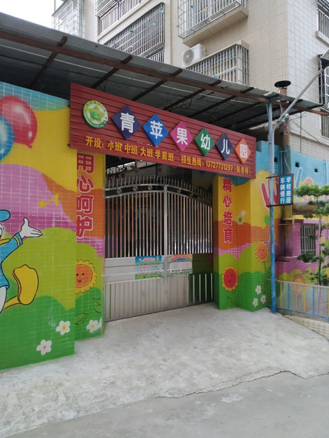 上海青苹果幼儿园图片