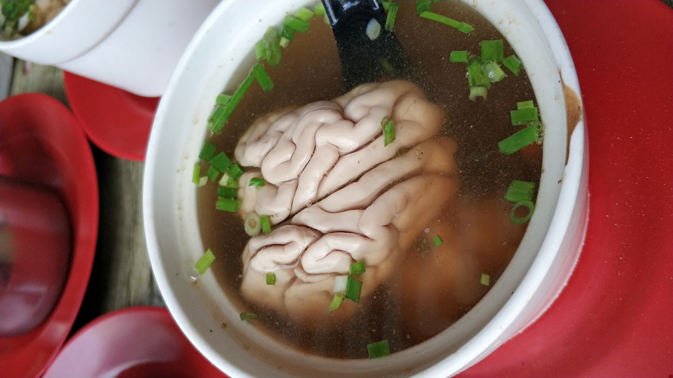天麻炖猪脑图片