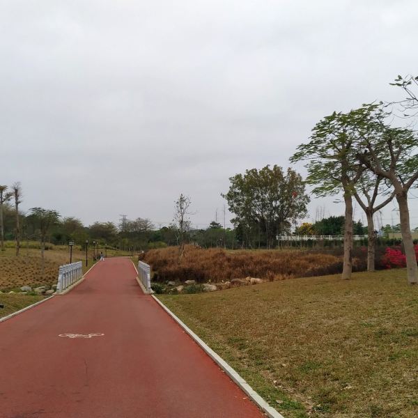 石巖湖溼地公園圖片