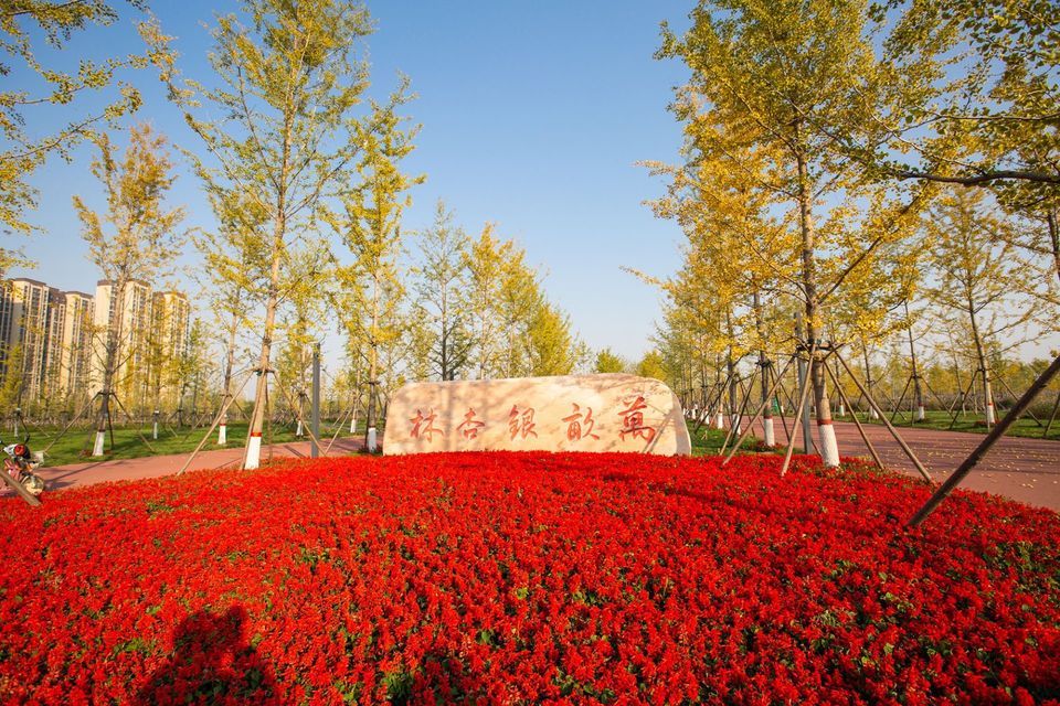                  潮白河中央公园