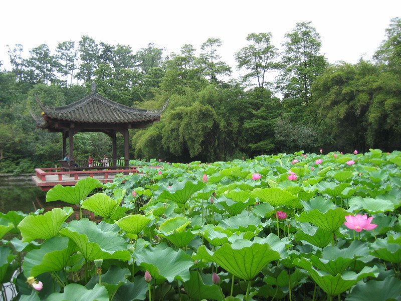 农科村景点图片