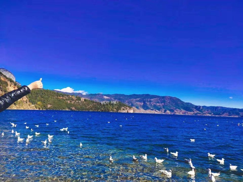 漫水湾镇中心校