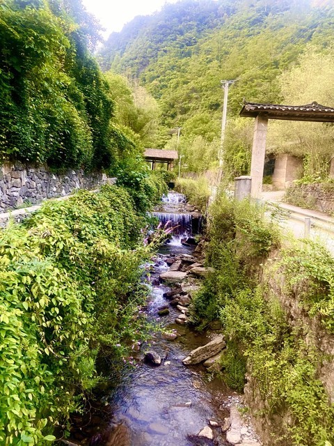 重庆城口旅游景点