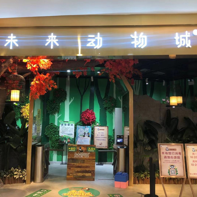 未来动物城图片