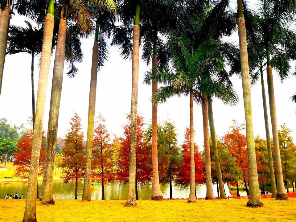 > 沥林森林公园