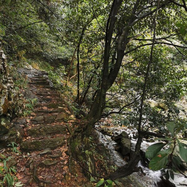 【柏枧山景区】柏枧山景区门票,柏枧山景区游玩攻略_360地图