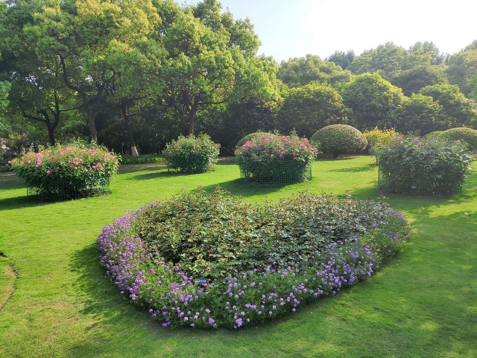 杭州市 休闲娱乐 景点公园 景点 > 大关科普公园