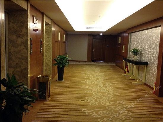 【金豪国际酒店】金豪国际酒店电话,金豪国际酒店地址,金豪国际酒店