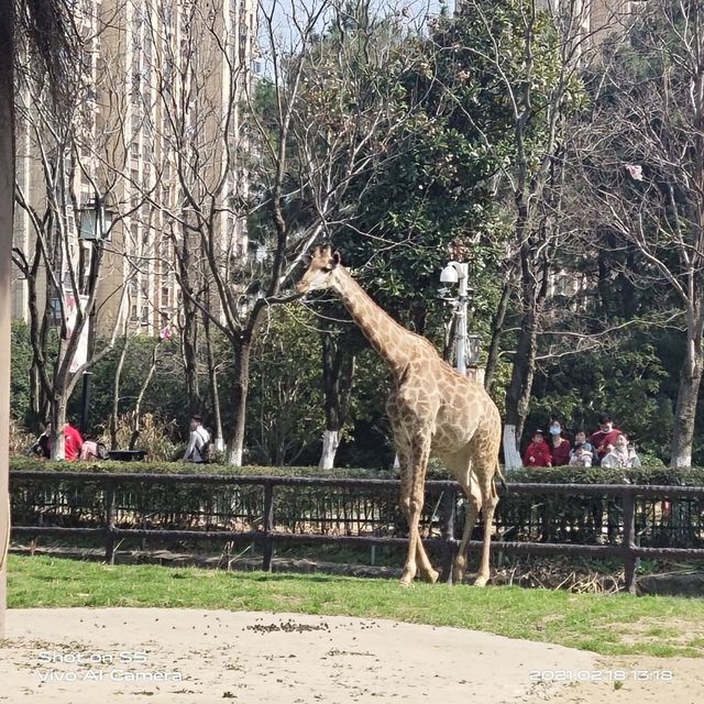 南昌動物園