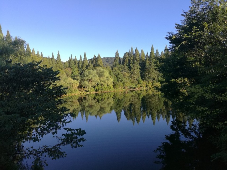 井冈山风景名胜区桐木岭景区