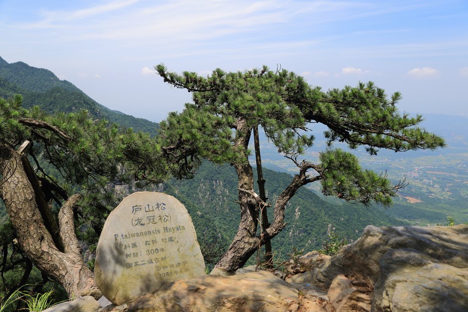 济南锦绣谷图片