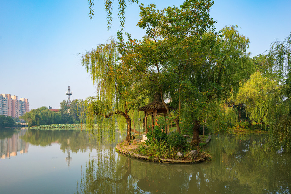 电话:地址(位置,怎么去,怎么走,在哪,在哪里,在哪儿):扬州市邗江区