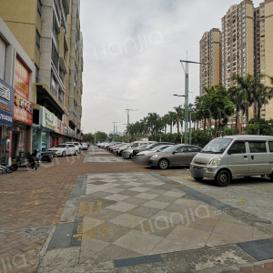 海逸锦绣桃园图片