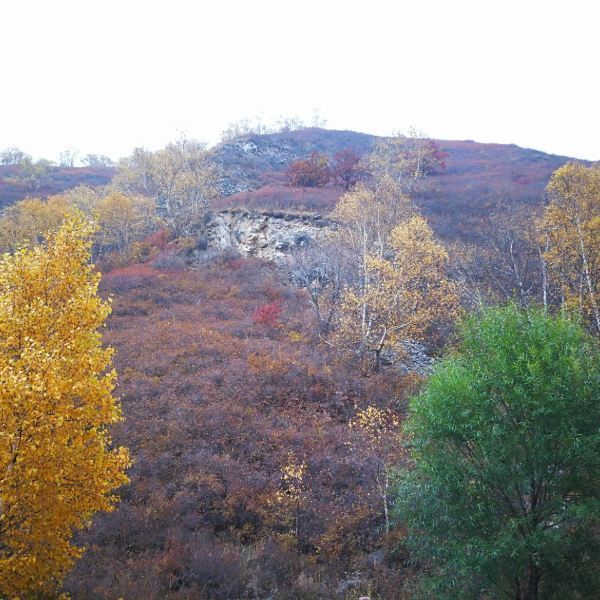 小井溝生態園