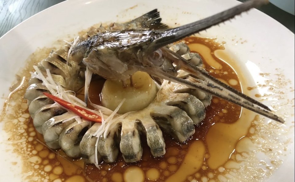 汤海参推荐菜:邢氏海参枣城印象位于枣庄市市中区西昌北路与文化西路