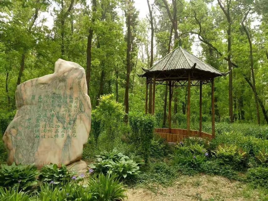临邑县凤鸣湖湿地公园图片