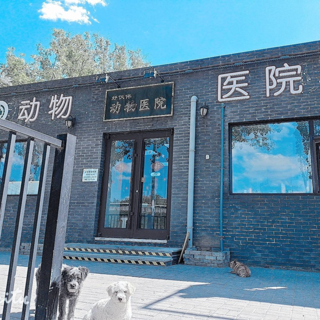 好伙伴动物医院地址(位置,怎么去,怎么走,在哪,在哪里,在哪儿):北京市