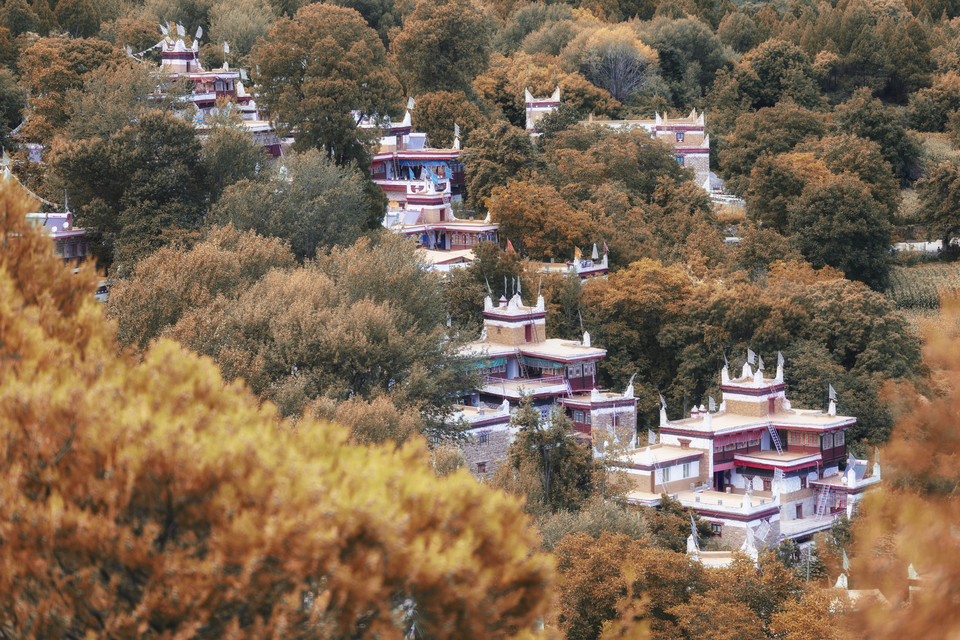 怎么去,怎么走,在哪,在哪里,在哪儿): 甘孜藏族自治州丹巴县甲居镇