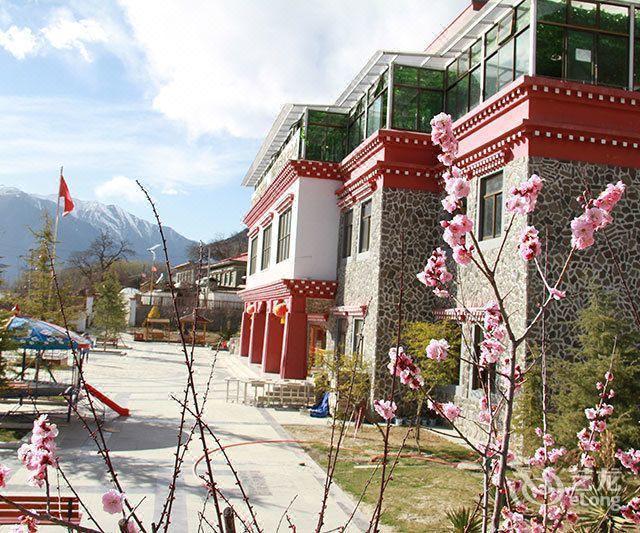 林芝桃花山庄