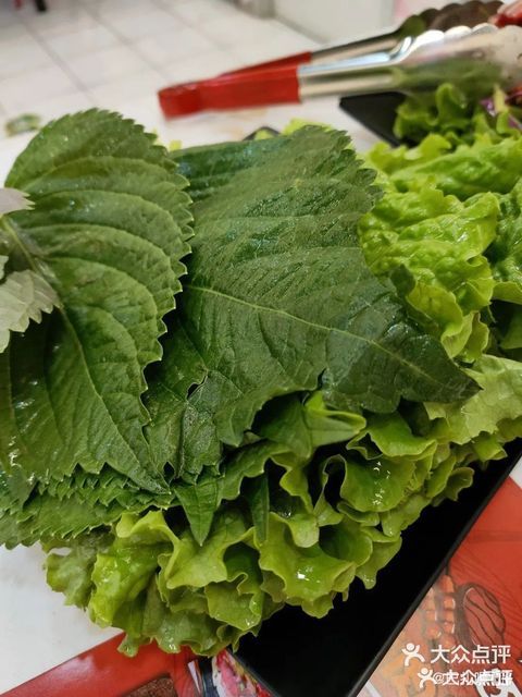 苏子叶拼生菜图片