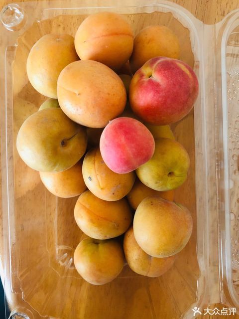 新疆奶皇杏图片