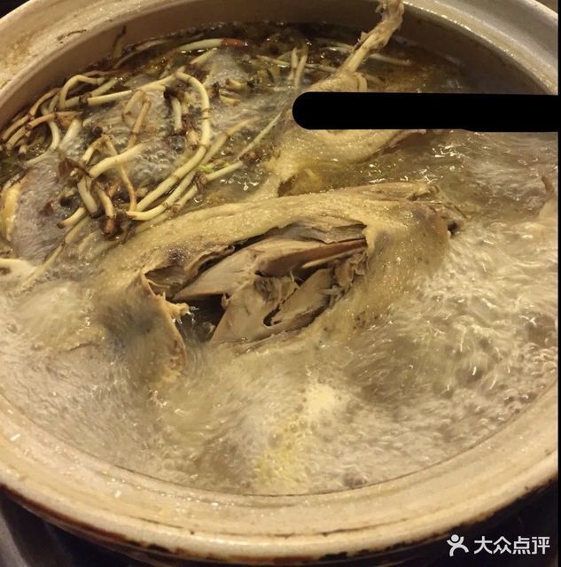 鱼腥草水鸭汤图片