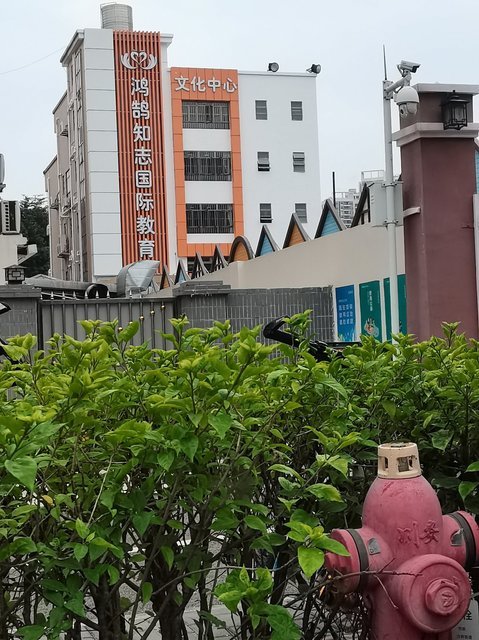 查看深圳为明双语实验学校怎么样_360地图搜索结果列表