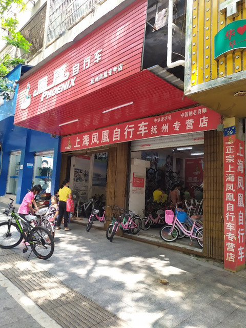 凤凰牌电动自行车