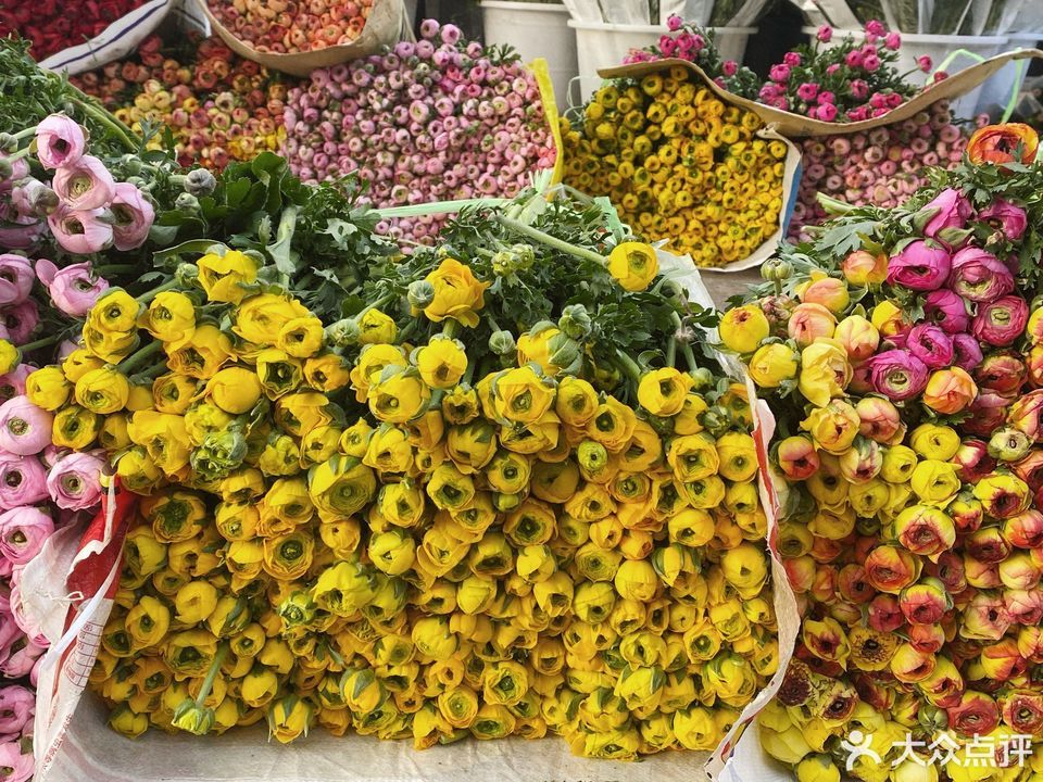 斗南花卉电子交易中心官网