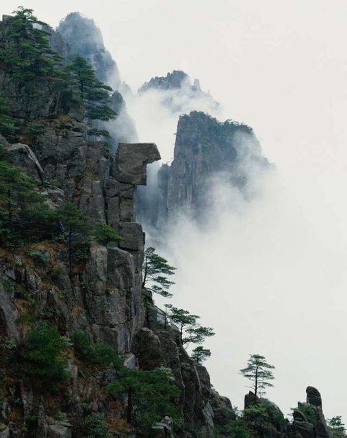 黃山仙人曬靴