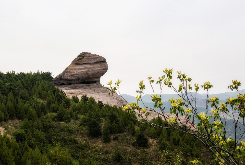 兴隆国家森林公园