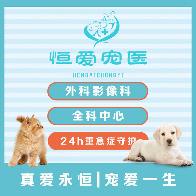            恒爱宠物诊所(下南路)