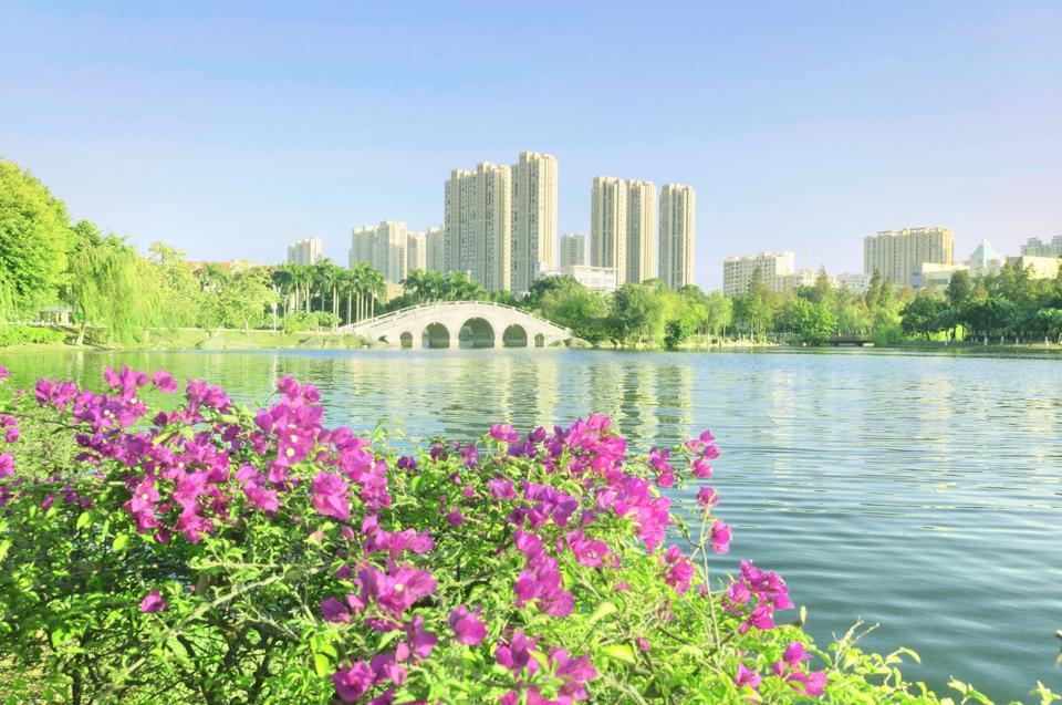 石狮龟湖公园地址(位置,怎么去,怎么走,在哪,在哪里,在哪儿):泉州市