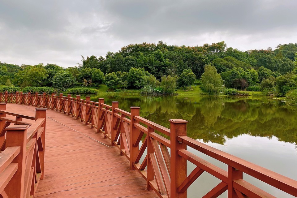 卧龙湖湿地公园