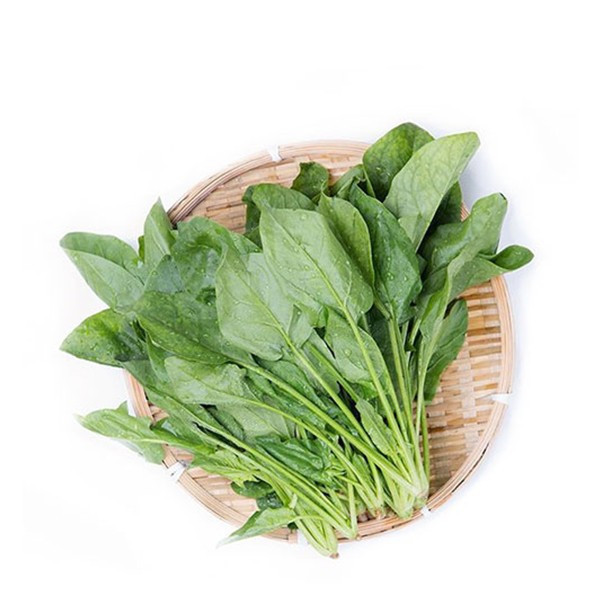 本地菠菜图片