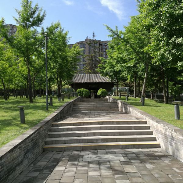 曲江秦二世陵遺址公園