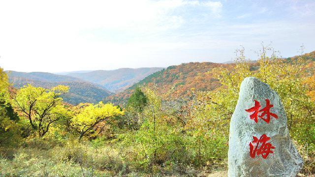 查看甘泉县劳山森林公园_360地图搜索结果列表