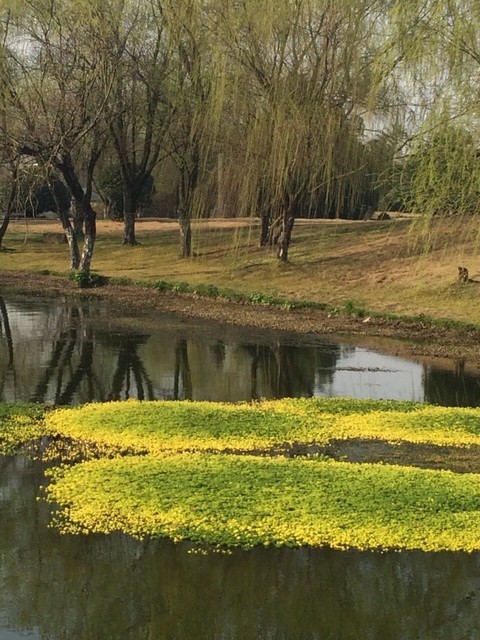 铜陵市翠湖四路