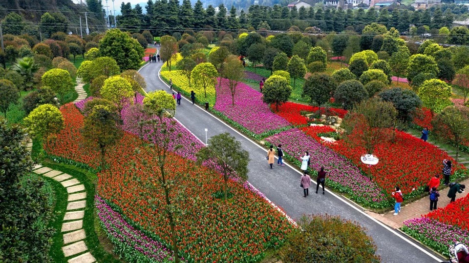 重庆太寺娅公园图片