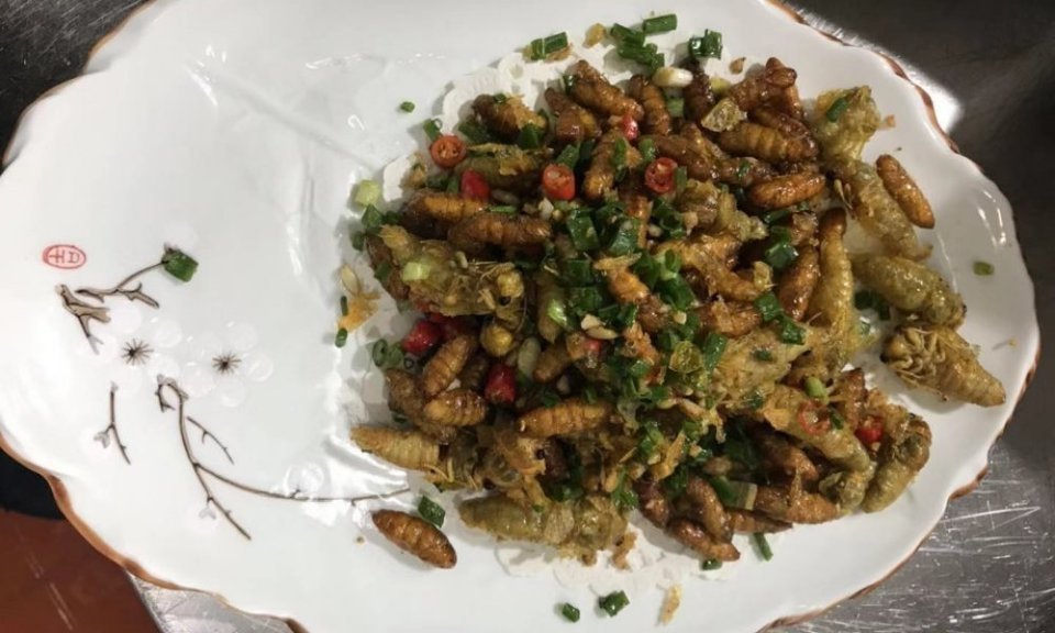 风味知了图片