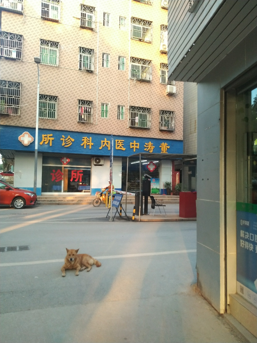 黄多茹中医内科诊所