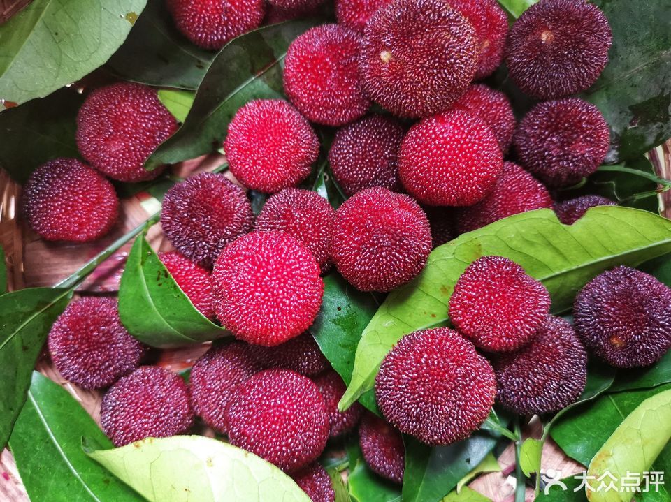 推荐菜:标签:餐馆餐饮东山乌紫杨梅位于苏州市莫厘峰环山路莫厘村岱松