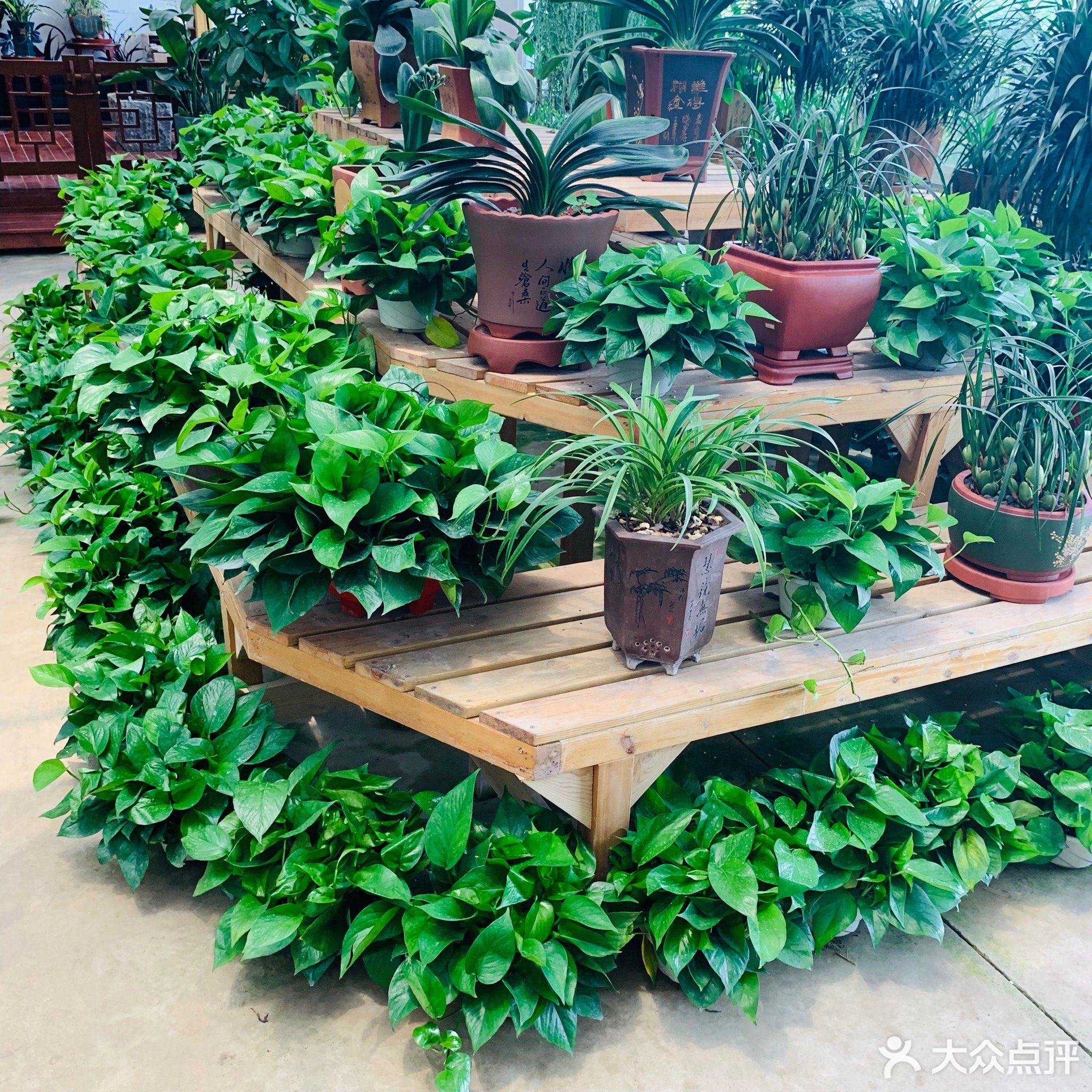 龙海博览园中国花卉批发市场中国花木盆景之都中国花海景点花卉种植园