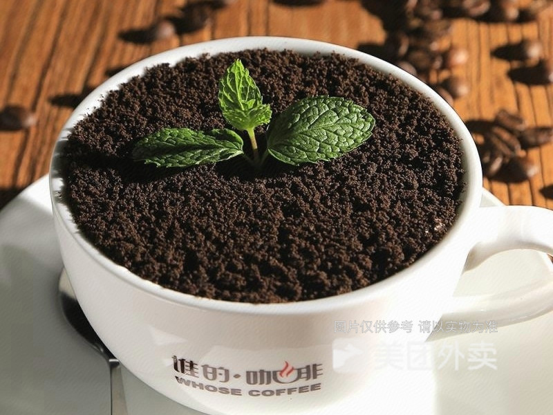 盆栽咖啡图片
