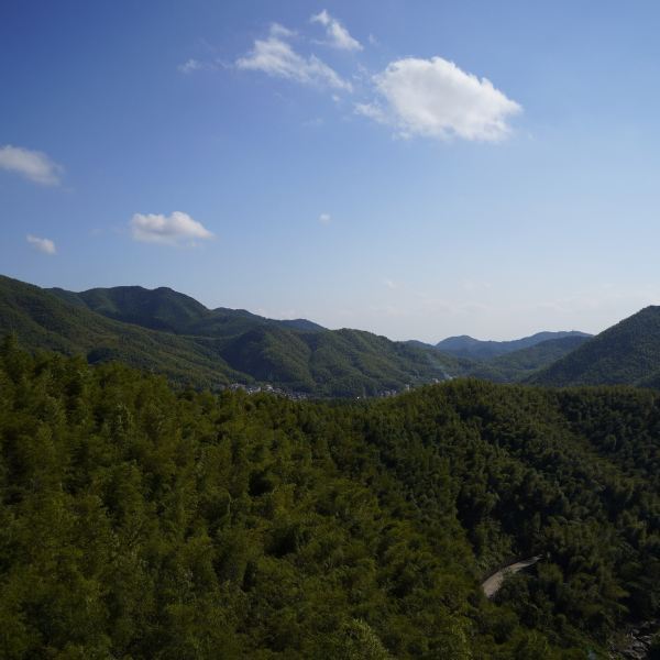 浙東大竹海景區漂流起點