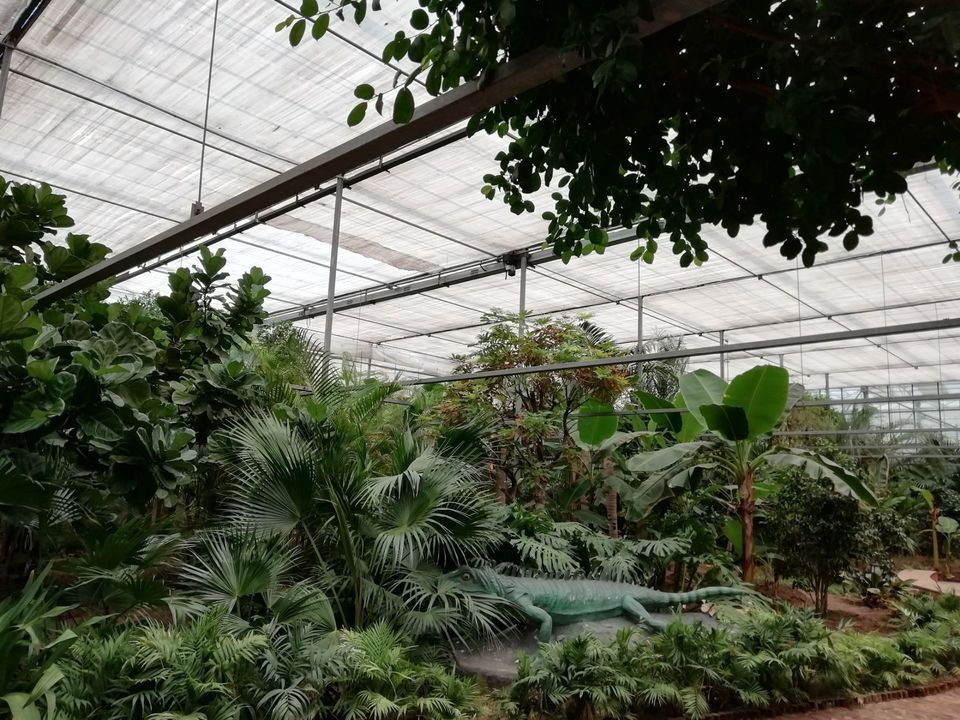 華南熱帶植物園