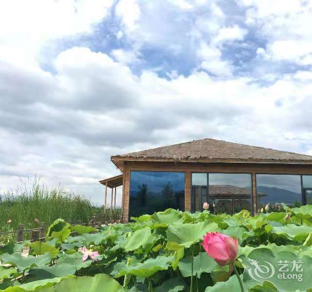 澄江悦莲庄园·荷舍主题民宿