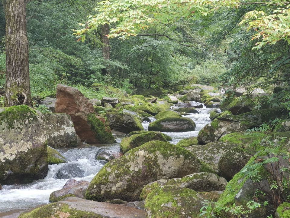 蛟河天岗太平沟图片