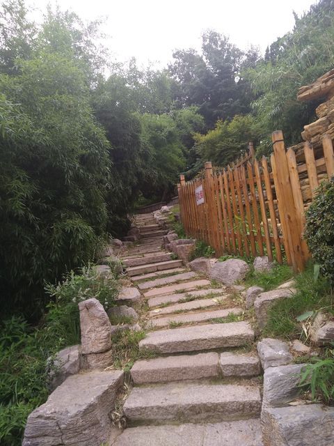 半山公园游玩攻略,杭州半山公园游玩攻略