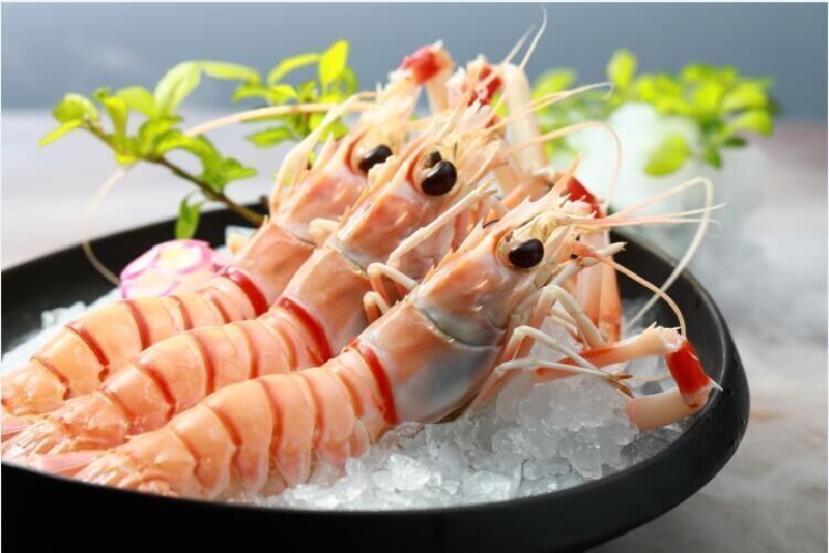 新西兰鳌虾图片